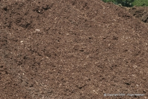 Image of Pine Mulch by Bobby Hardee Landscaping