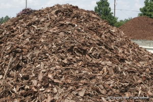 Image of Pine Nuggets Mulch by Bobby Hardee Landscaping