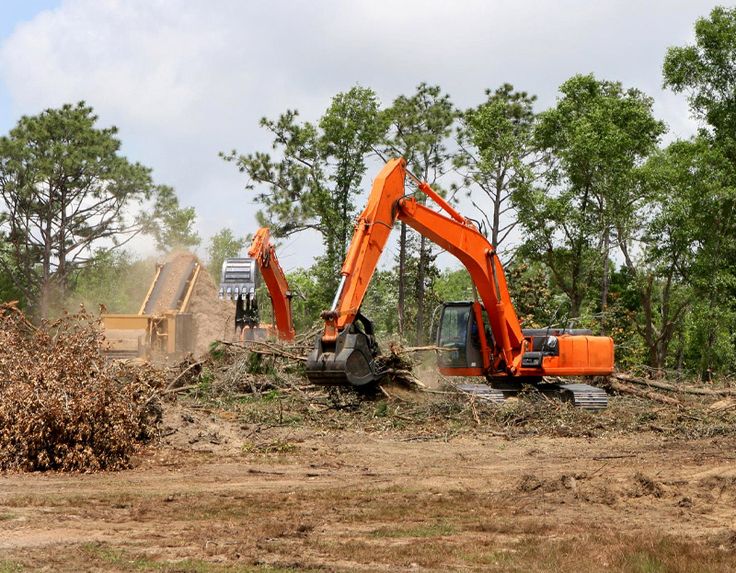 lot clearing