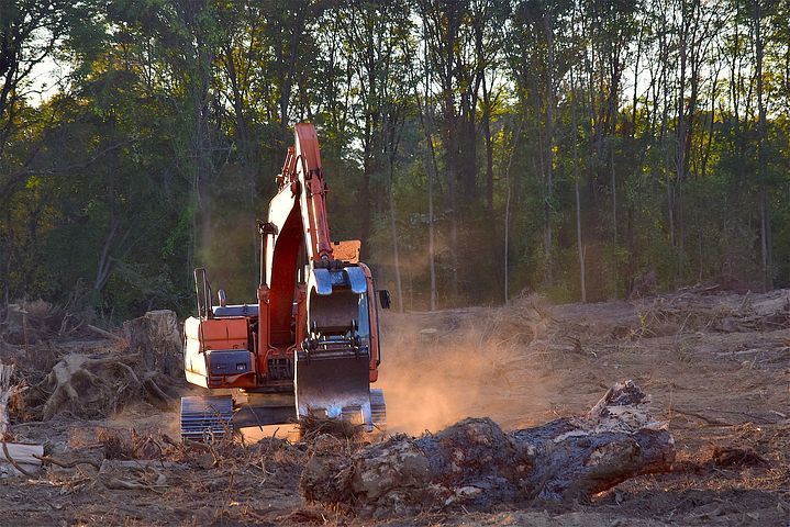 lot and land clearing